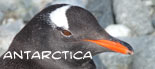 Antarctica photo gallery and travelogue