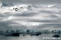 Antarctic landscape