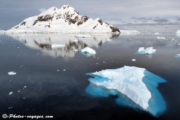 Icebergs and snowy mountain