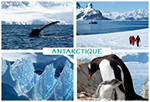 Reportage photo en Antarctique