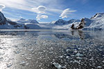 Récit croisière Antarctique