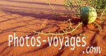 Images du monde photos de voyages
