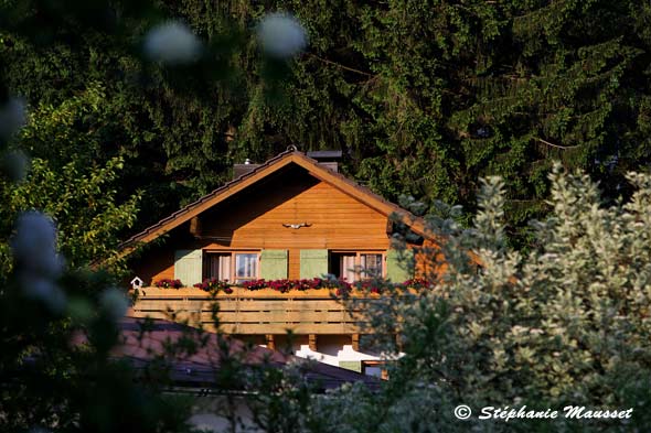 Bavarian forest chalet