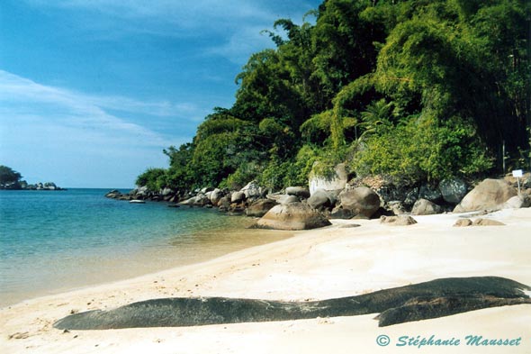 delightful beach