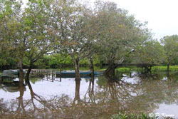 Boats and floods