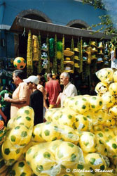 brasilian colours