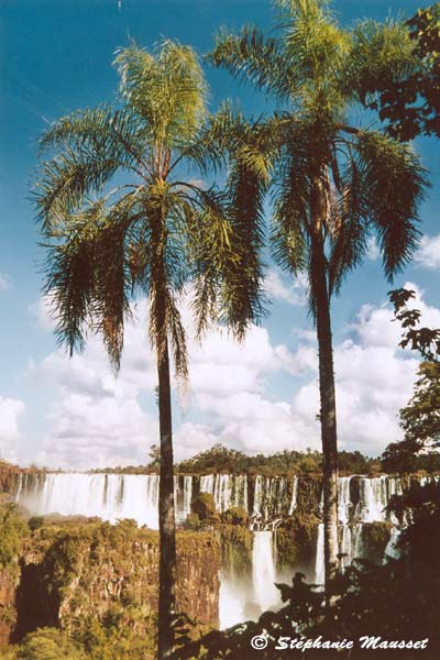 Iguazu falls ambience