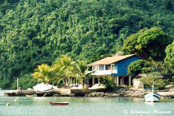 paraty jungle