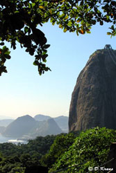 Sugar loaf