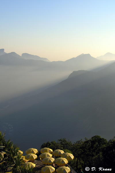 paysage dans la brume