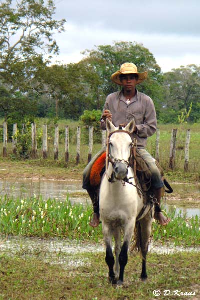 cowboy du Pantanal