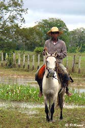 cowboy à cheval