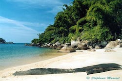 plage du Brésil