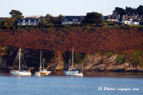 Photo de bateaux au mouillage à Camaret