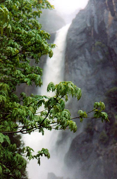 chute d'eau de Yosemite vallée