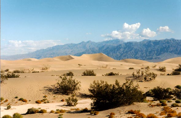 dunes de la death valley