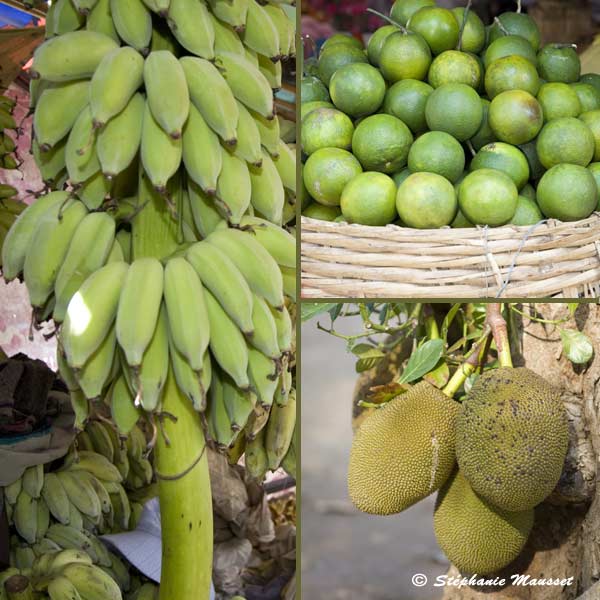 photo de fruits du Cambodge dont le fruit du jacquier