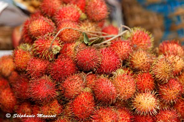 Ramboutan délicieux fruit du Cambodge
