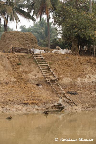 échelle d'accès en bois sur la rive