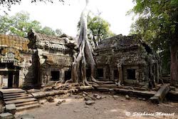 Ta Prohm