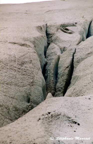 Athabasca glacier