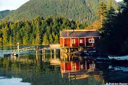 tofino scenery