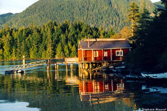 cabane se reflète dans l'océan