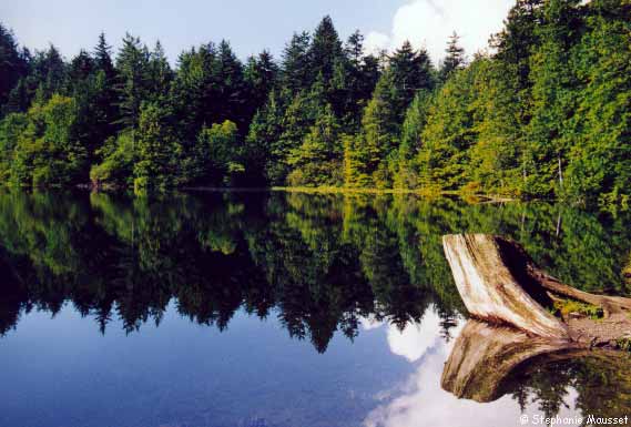 lac et reflet de paysage