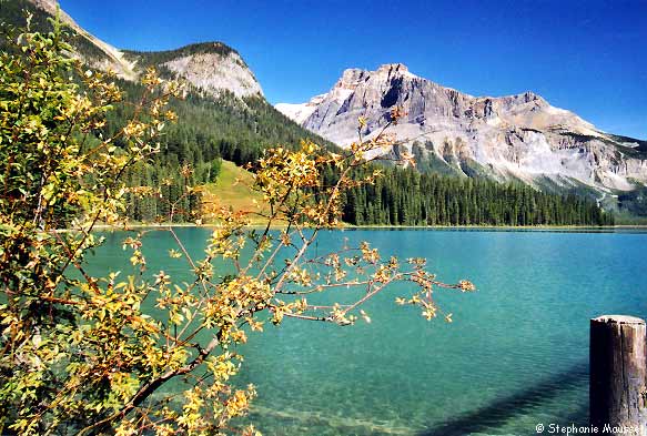 Eau turquoise d'emerald lake au Canada