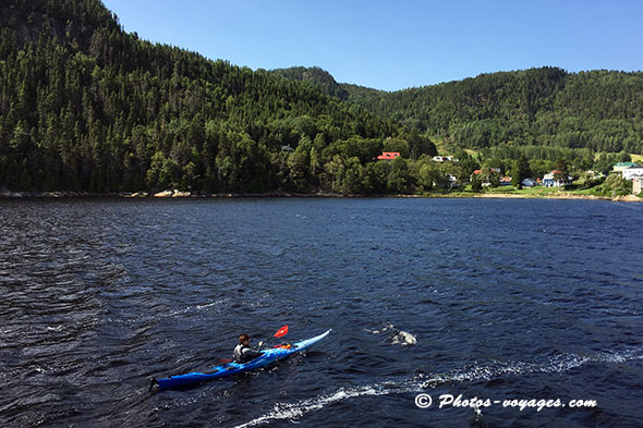 Kayak à saint rose du nord québec