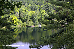 Lac et forêt du parc Gatineau