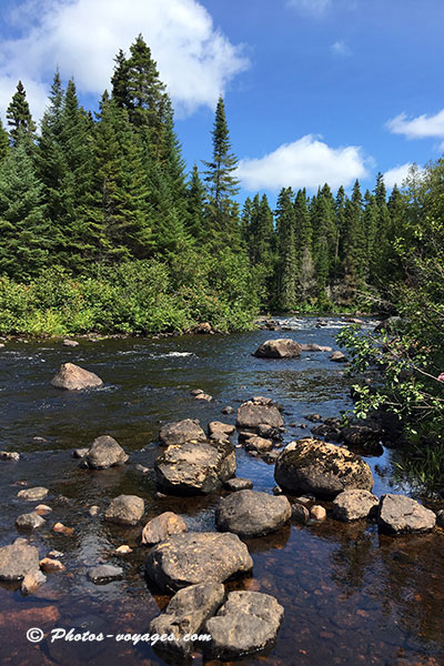 Rivière et forêt du Mont-tremblant