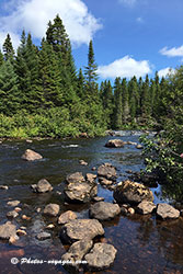 paysage du parc mont tremblant