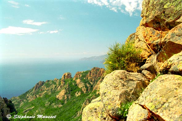 calanches in Corsica