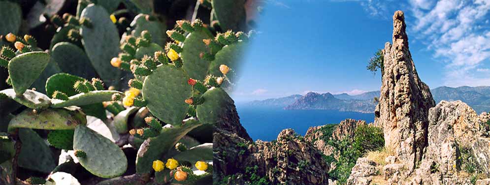 Corsica introducing photo