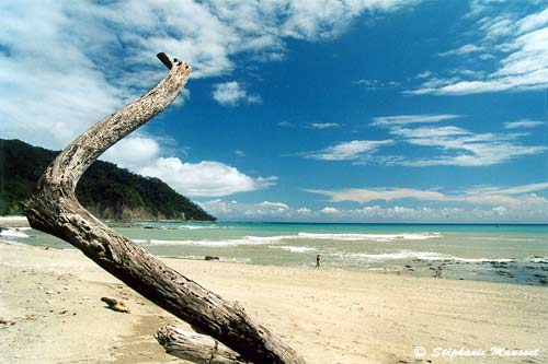 gorgeous cabo blanco beach in costa rica