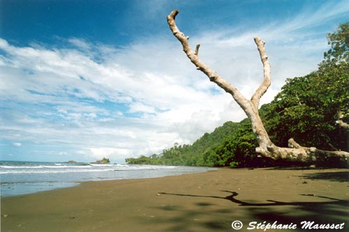 beach of costa rica