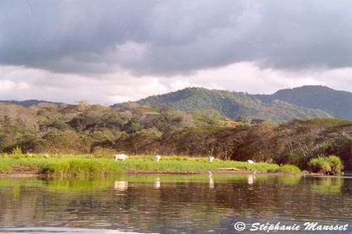 tarcoles river landscape in costa rica
