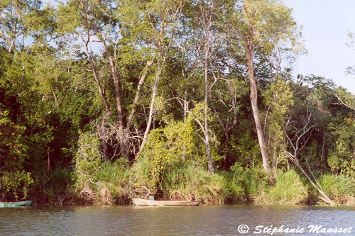 landscape of Tarcoles river in costa rica