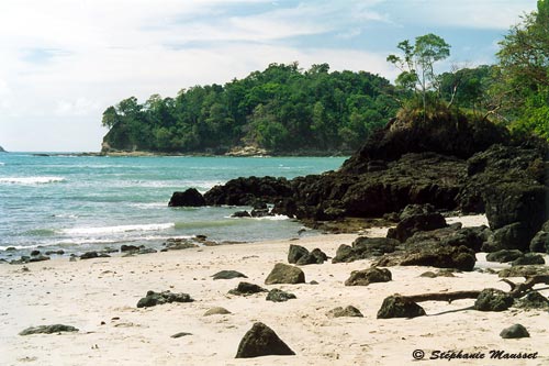 plage du parc manual antonio au costa rica