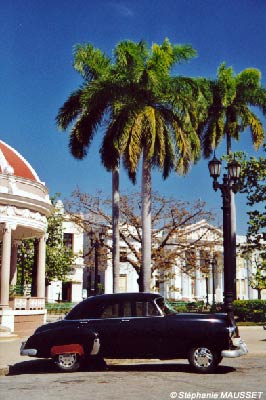 chevrolet noire de Cuba et cocotiers