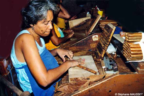 ouvrière qui roule un cigare à Cuba