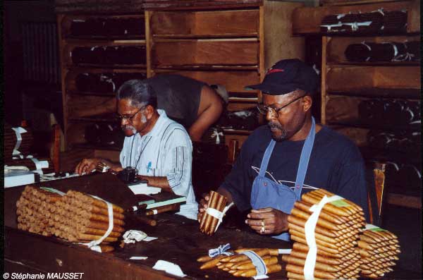 workers at Partagas cigar factory