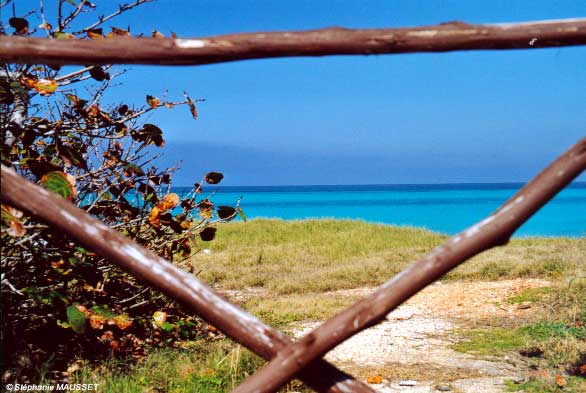 plage de Varadero à Cuba