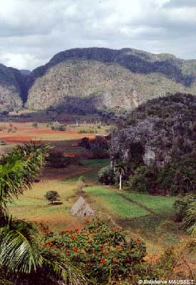 mogotes de Vinales à Cuba