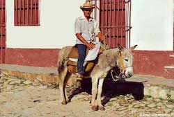 Cuban farmer