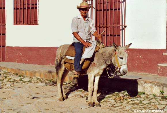 paysan cubain à dos d'âne