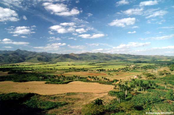 paysage tope de collantes à Cuba