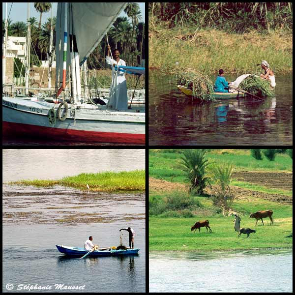 human activity on Nile river