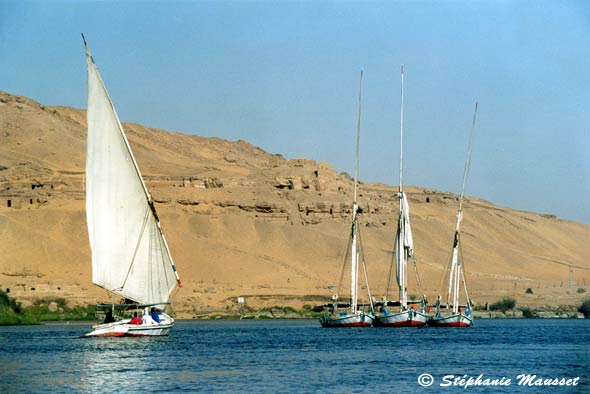 felouca on a background of desert